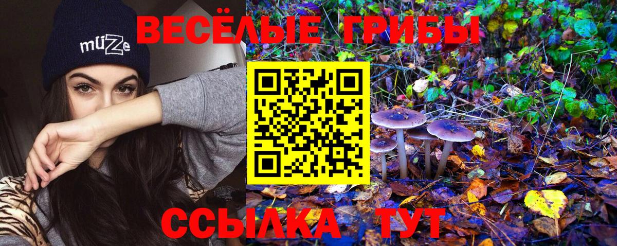 Псилоцибиновые грибы Cubensis  Галлюциногенные грибы MAGIC MUSHROOMS  Спасск-Дальний  Вход с VPN 