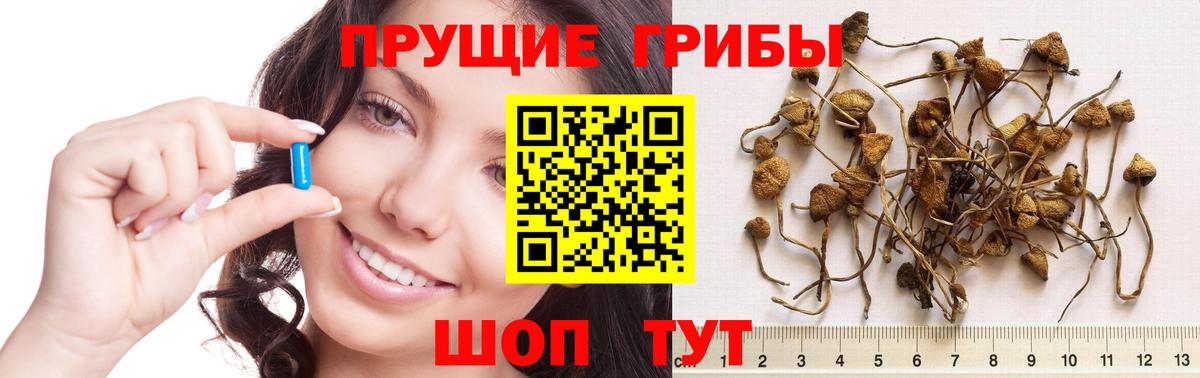 Галлюциногенные грибы прущие грибы Спасск-Дальний